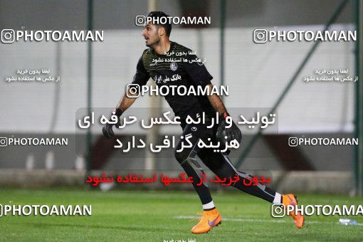 719130, Abu Dhabi, , AFC Champions League 2017, Esteghlal Khouzestan Football Team Training Session on 2017/02/24 at Mohammed bin Zayed Stadium