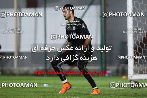 719232, Abu Dhabi, , AFC Champions League 2017, Esteghlal Khouzestan Football Team Training Session on 2017/02/24 at Mohammed bin Zayed Stadium