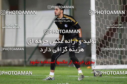 719278, Abu Dhabi, , AFC Champions League 2017, Esteghlal Khouzestan Football Team Training Session on 2017/02/24 at Mohammed bin Zayed Stadium