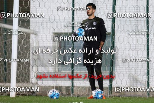 719137, Abu Dhabi, , AFC Champions League 2017, Esteghlal Khouzestan Football Team Training Session on 2017/02/24 at Mohammed bin Zayed Stadium