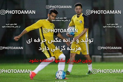 719325, Abu Dhabi, , AFC Champions League 2017, Esteghlal Khouzestan Football Team Training Session on 2017/02/24 at Mohammed bin Zayed Stadium