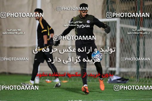 717369, Abu Dhabi, , AFC Champions League 2017, Esteghlal Khouzestan Football Team Training Session on 2017/02/24 at Mohammed bin Zayed Stadium