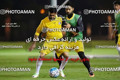 718160, Abu Dhabi, , AFC Champions League 2017, Esteghlal Khouzestan Football Team Training Session on 2017/02/26 at Mohammed bin Zayed Stadium