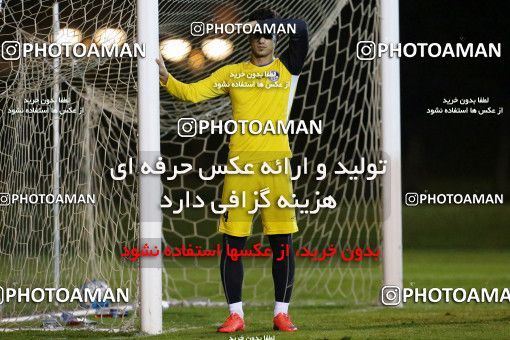 718137, Abu Dhabi, , AFC Champions League 2017, Esteghlal Khouzestan Football Team Training Session on 2017/02/26 at Mohammed bin Zayed Stadium