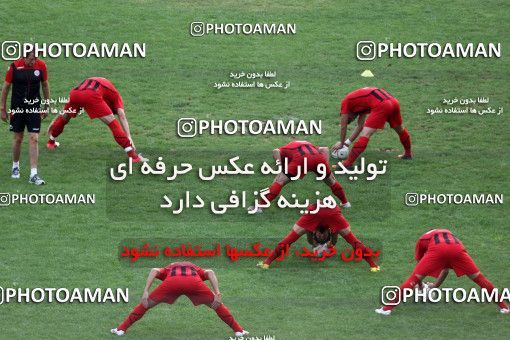 736669, Tehran, , Persepolis Football Team Training Session on 2012/07/28 at Derafshifar Stadium