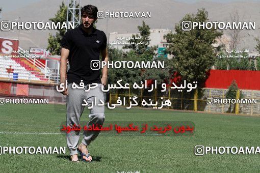 737184, Tehran, , Persepolis Football Team Training Session on 2012/08/22 at Naser Hejazi Sport Complex