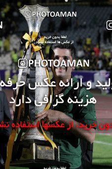 746585, Tehran, , Final جام حذفی فوتبال ایران, , Persepolis 2 v 2 Sepahan on 2013/05/05 at Azadi Stadium