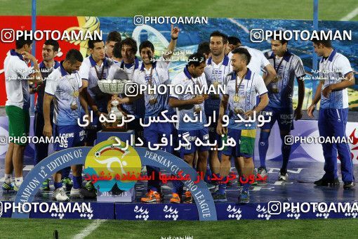 750065, Tehran, [*parameter:4*], Iran Pro League، Persian Gulf Cup، 2012-13 season، Second Leg، Week 34، Esteghlal ۱ v 2 Damash Gilan on 2013/05/10 at Azadi Stadium