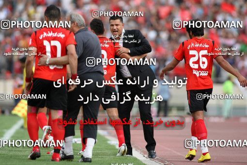 753154, Tehran, Iran, Final جام حذفی فوتبال ایران, , Persepolis 3 v 1 Gostaresh Foulad Tabriz on 2010/05/24 at Azadi Stadium