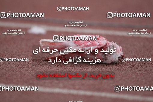 766578, Tehran, Iran, لیگ برتر فوتبال ایران، Persian Gulf Cup، Week 23، Second Leg، Esteghlal 2 v 2 Tractor Sazi on 2010/01/15 at Azadi Stadium