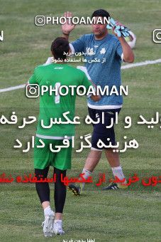 768133, Tehran, [*parameter:4*], لیگ برتر فوتبال ایران، Persian Gulf Cup، Week 2، First Leg، Saipa 3 v 2 Sanat Naft Abadan on 2017/08/03 at Shahid Dastgerdi Stadium