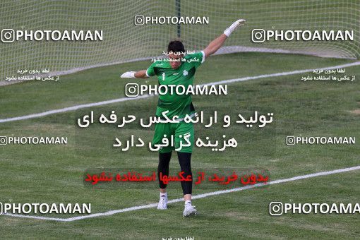 767150, Tehran, [*parameter:4*], لیگ برتر فوتبال ایران، Persian Gulf Cup، Week 2، First Leg، Saipa 3 v 2 Sanat Naft Abadan on 2017/08/03 at Shahid Dastgerdi Stadium