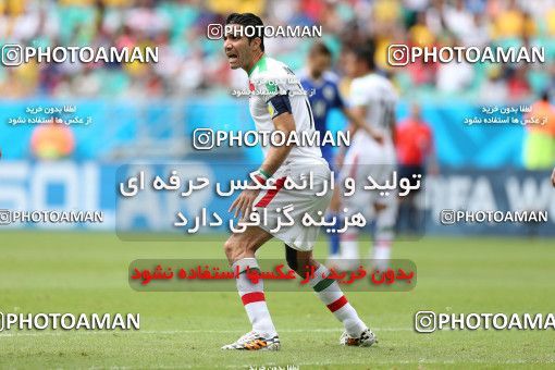 777823, Salvador, Brazil, 2014 FIFA World Cup, Group stage, Group F, Bosnia [*parameter:140*] v [*parameter:139*] Iran on 2014/06/25 at Itaipava Fonte Nova Arena