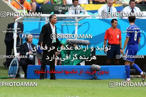 788753, Salvador, Brazil, 2014 FIFA World Cup, Group stage, Group F, Bosnia [*parameter:140*] v [*parameter:139*] Iran on 2014/06/25 at Itaipava Fonte Nova Arena