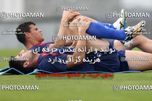 787480, Sao Paulo, Brazil, 2014 FIFA World Cup, Iran National Football Team Training Session on 2014/06/14 at کمپ کورینتیانس