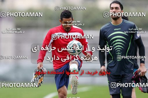 787403, Sao Paulo, Brazil, 2014 FIFA World Cup, Iran National Football Team Training Session on 2014/06/10 at کمپ کورینتیانس