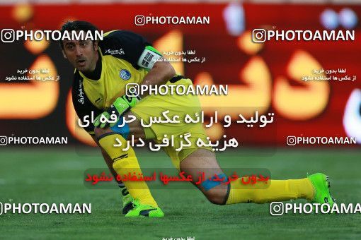 797070, Tehran, [*parameter:4*], Iran Pro League، Persian Gulf Cup، 2017-18 season، First Leg، Week 5، Esteghlal ۰ v 2 Padideh Mashhad on 2017/08/22 at Azadi Stadium