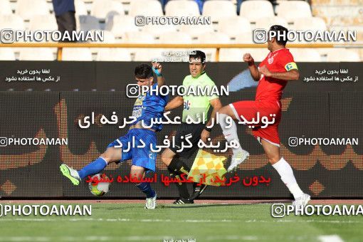 796625, Tehran, [*parameter:4*], Iran Pro League، Persian Gulf Cup، 2017-18 season، First Leg، Week 5، Esteghlal ۰ v 2 Padideh Mashhad on 2017/08/22 at Azadi Stadium