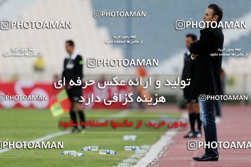 838609, Tehran, [*parameter:4*], لیگ برتر فوتبال ایران، Persian Gulf Cup، Week 25، Second Leg، Naft Tehran 1 v 1 Persepolis on 2013/02/09 at Azadi Stadium