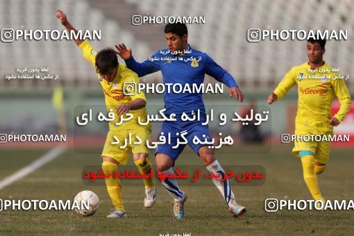 859889, Tehran, [*parameter:4*], Iran Pro League، Persian Gulf Cup، 2012-13 season، Second Leg، Week 21، Naft Tehran 4 v ۱ Sanat Naft Abadan on 2013/01/13 at Shahid Dastgerdi Stadium