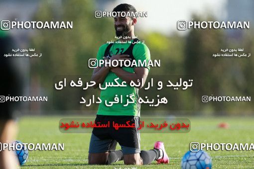 885878, Tehran, , Iran National Football Team Training Session on 2017/10/02 at Research Institute of Petroleum Industry