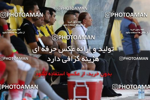 906190, Tehran, Iran, Iran Pro League، Persian Gulf Cup، 2017-18 season، First Leg، Week 9، Sanat Naft Abadan ۱ v ۰ Naft Tehran on 2017/10/13 at Takhti Stadium Abadan