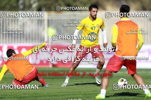 904518, Tehran, [*parameter:4*], Iran Pro League، Persian Gulf Cup، 2017-18 season، First Leg، Week 10، Naft Tehran ۱ v ۰ Esteghlal Khouzestan on 2017/10/17 at Takhti Stadium