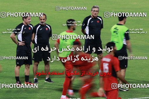 916324, Muscat, , AFC Champions League 2017, Persepolis Football Team Training Session on 2017/10/16 at ورزشگاه سلطان قابوس