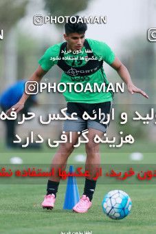 928502, Tehran, , Iran National Football Team Training Session on 2017/11/02 at Research Institute of Petroleum Industry