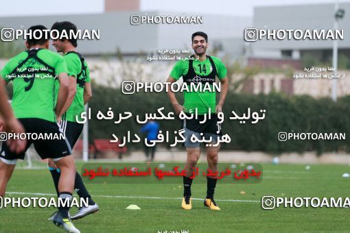 928241, Tehran, , Iran National Football Team Training Session on 2017/11/02 at Research Institute of Petroleum Industry