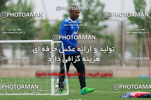 928554, Tehran, , Iran National Football Team Training Session on 2017/11/02 at Research Institute of Petroleum Industry