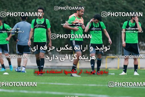 928265, Tehran, , Iran National Football Team Training Session on 2017/11/02 at Research Institute of Petroleum Industry