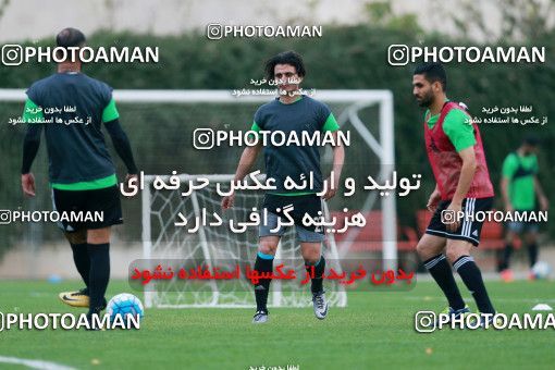 928416, Tehran, , Iran National Football Team Training Session on 2017/11/02 at Research Institute of Petroleum Industry