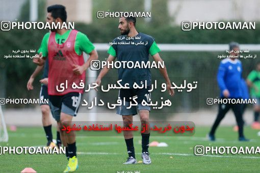 928583, Tehran, , Iran National Football Team Training Session on 2017/11/02 at Research Institute of Petroleum Industry