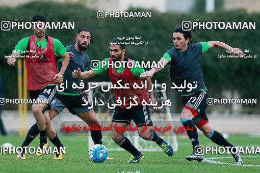 928235, Tehran, , Iran National Football Team Training Session on 2017/11/02 at Research Institute of Petroleum Industry