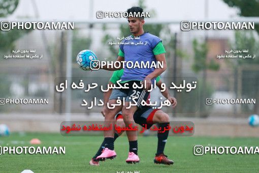 928555, Tehran, , Iran National Football Team Training Session on 2017/11/02 at Research Institute of Petroleum Industry