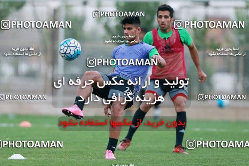 928407, Tehran, , Iran National Football Team Training Session on 2017/11/02 at Research Institute of Petroleum Industry