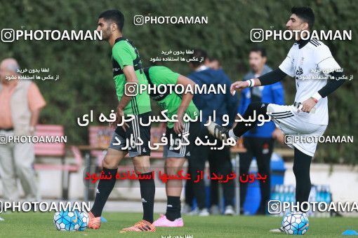 921959, Tehran, , Iran National Football Team Training Session on 2017/11/02 at Research Institute of Petroleum Industry