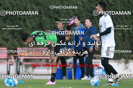 922174, Tehran, , Iran National Football Team Training Session on 2017/11/02 at Research Institute of Petroleum Industry