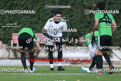 921950, Tehran, , Iran National Football Team Training Session on 2017/11/02 at Research Institute of Petroleum Industry