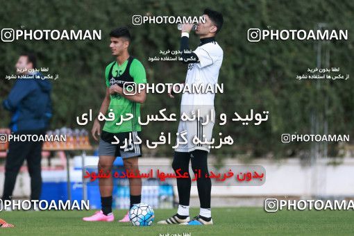 921817, Tehran, , Iran National Football Team Training Session on 2017/11/02 at Research Institute of Petroleum Industry