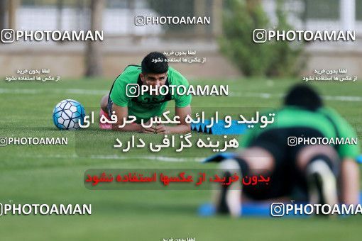 921990, Tehran, , Iran National Football Team Training Session on 2017/11/02 at Research Institute of Petroleum Industry