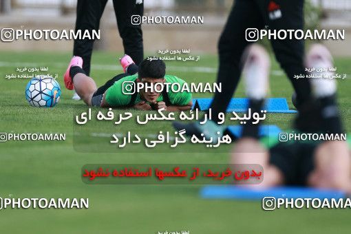 921826, Tehran, , Iran National Football Team Training Session on 2017/11/02 at Research Institute of Petroleum Industry