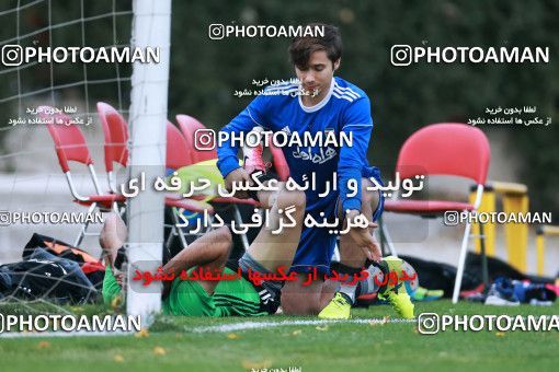 921897, Tehran, , Iran National Football Team Training Session on 2017/11/02 at Research Institute of Petroleum Industry