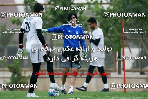 921813, Tehran, , Iran National Football Team Training Session on 2017/11/02 at Research Institute of Petroleum Industry