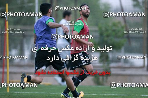 922062, Tehran, , Iran National Football Team Training Session on 2017/11/02 at Research Institute of Petroleum Industry