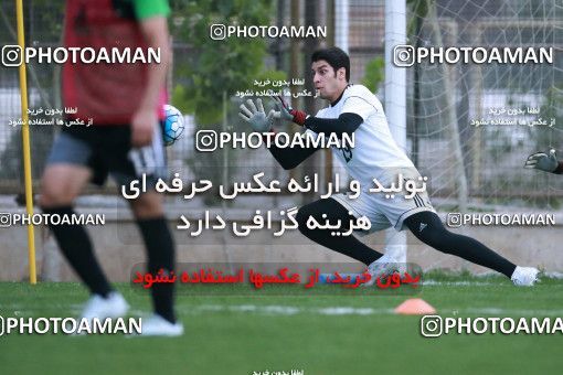 922056, Tehran, , Iran National Football Team Training Session on 2017/11/02 at Research Institute of Petroleum Industry