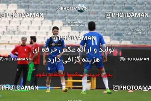 924647, Tehran, , Iran National Football Team Training Session on 2017/11/04 at Azadi Stadium