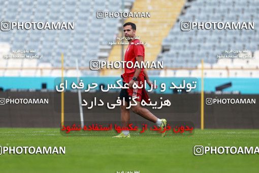 924780, Tehran, , Iran National Football Team Training Session on 2017/11/04 at Azadi Stadium