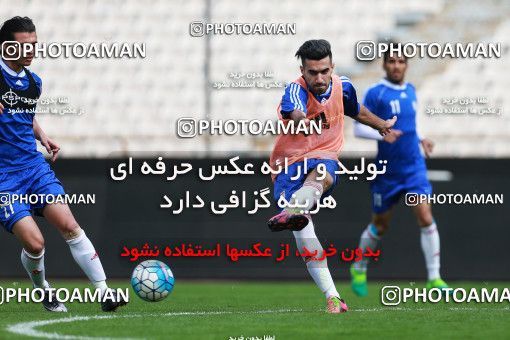 926646, Tehran, , Iran National Football Team Training Session on 2017/11/04 at Azadi Stadium